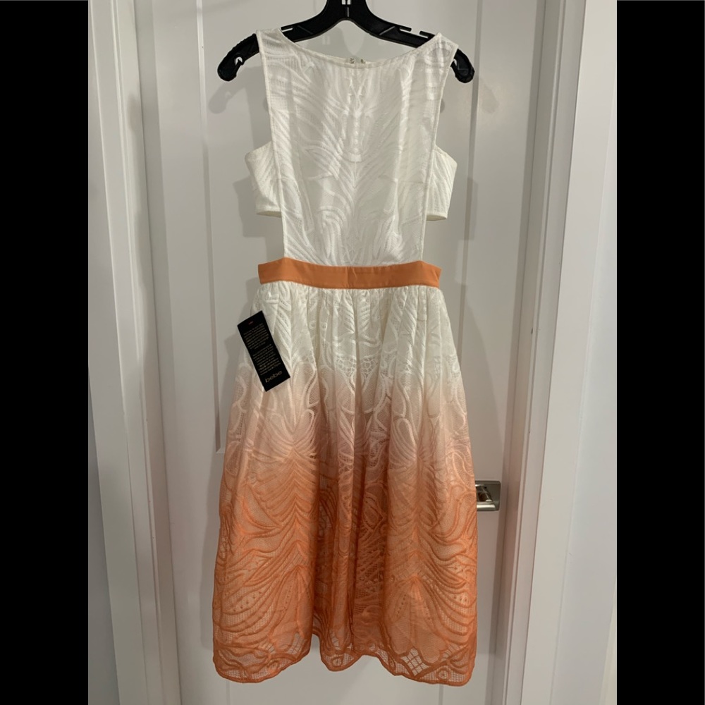 Brand New Bebe - Olivia Ombré Cutout Midi Dress